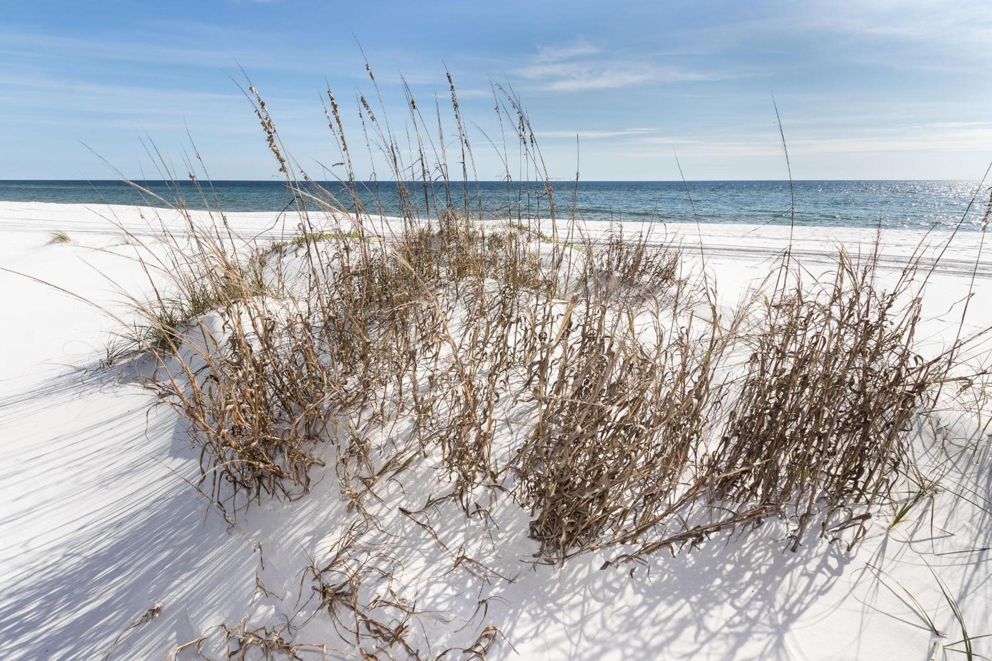 Nautilus 1201 - Gulf Front 2 Bedroom Huge Wrap Around Balcony 2Nd Floor! Fort Walton Beach Buitenkant foto